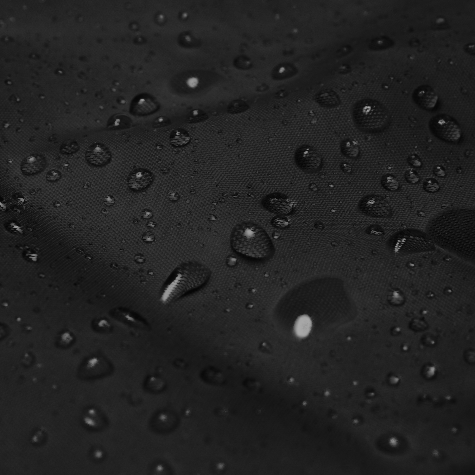 AMORE (Windbreaker) - Image 3